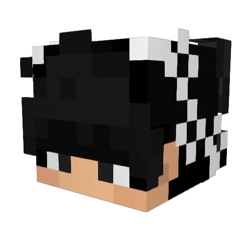 sterchiks Minecraft avatar head, 3D render