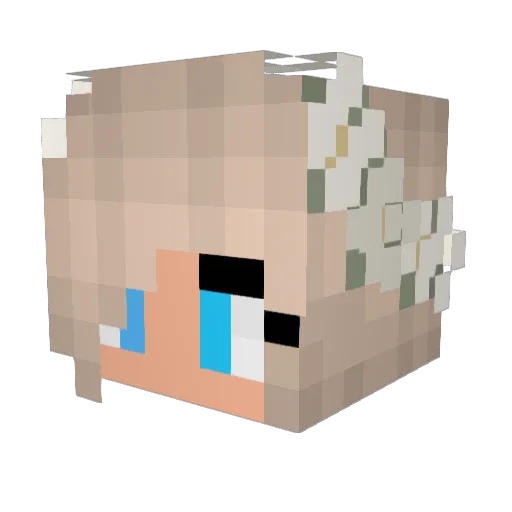 stere0raptor Minecraft avatar head, 3D render