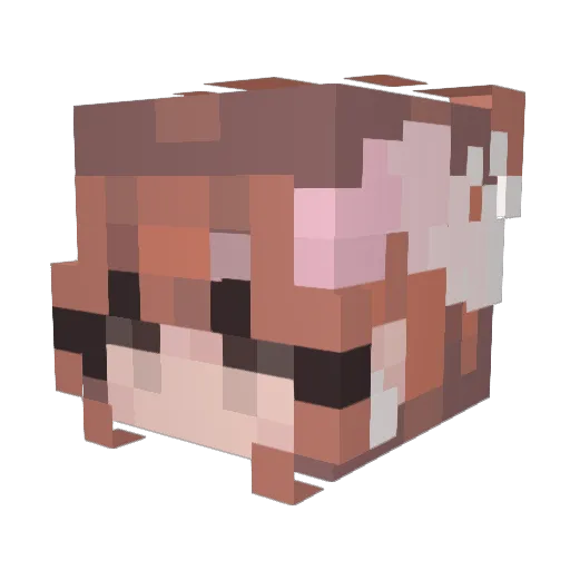sterphanay Minecraft avatar head, 3D render