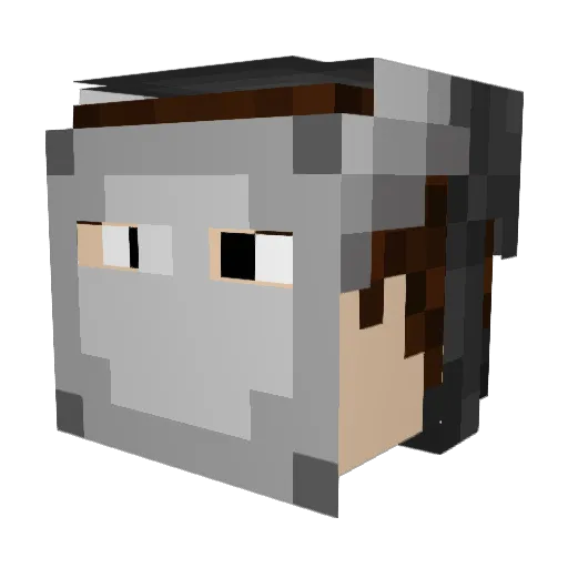sterr2care Minecraft avatar head, 3D render