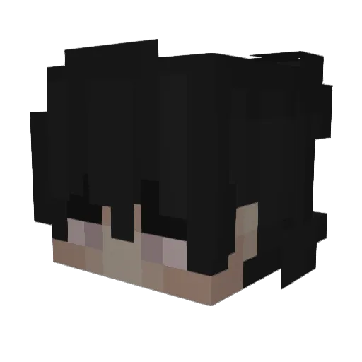 steuerheini Minecraft avatar head, 3D render