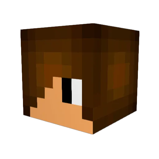 stevebob19 Minecraft avatar head, 3D render