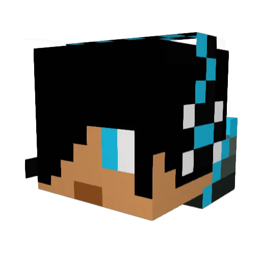 stevedude22 Minecraft avatar head, 3D render