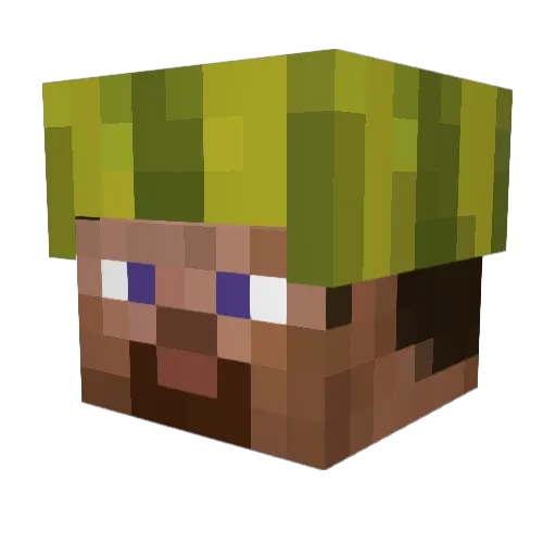 stevegang_1 Minecraft avatar head, 3D render