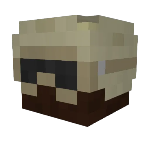 steveisawsome46 Minecraft avatar head, 3D render
