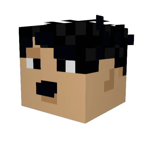 stevejimy11 Minecraft avatar head, 3D render