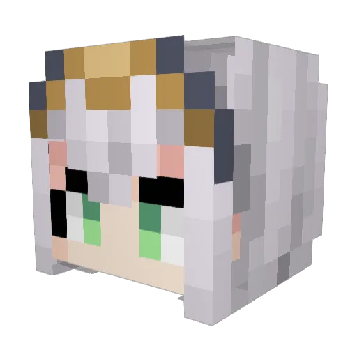 steven60212 Minecraft avatar head, 3D render