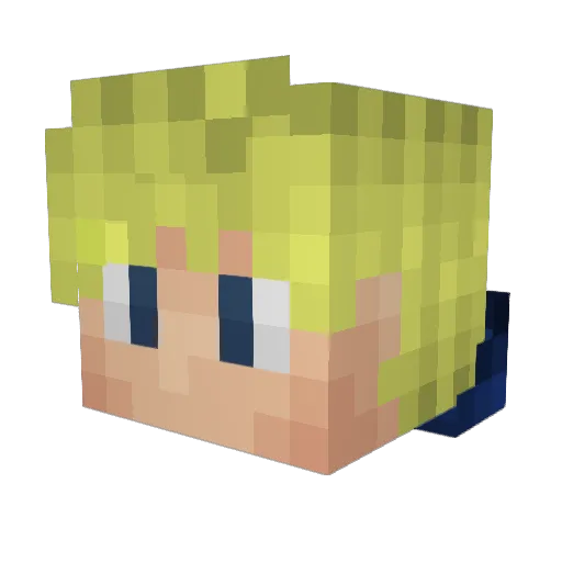 stevetrope Minecraft avatar head, 3D render