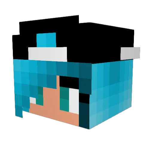 steveyrayy Minecraft avatar head, 3D render