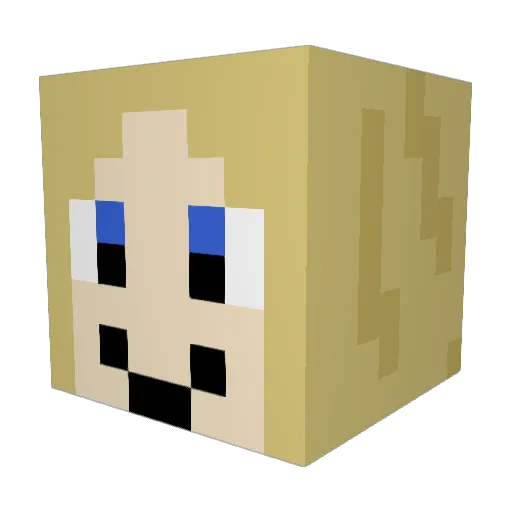 stevie_ninja Minecraft avatar head, 3D render