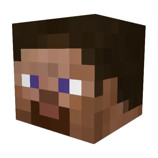 steviewonder340 Minecraft avatar head, 3D render