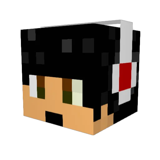 stevinkiller Minecraft avatar head, 3D render