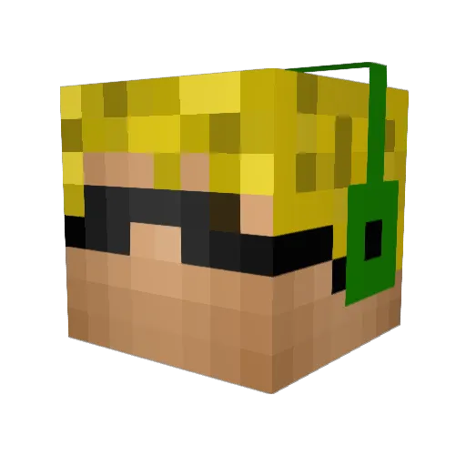 stevo122800 Minecraft avatar head, 3D render