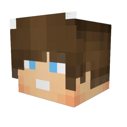 steward1998 Minecraft avatar head, 3D render