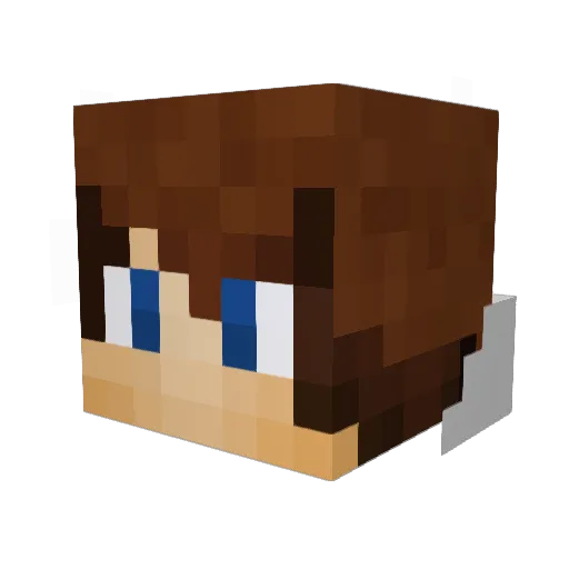 stewer10 Minecraft avatar head, 3D render