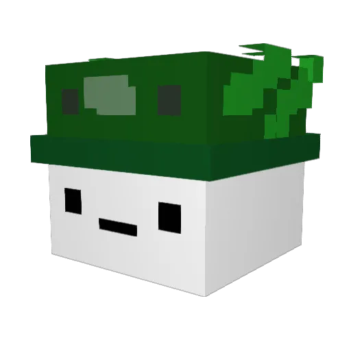 stewflup Minecraft avatar head, 3D render