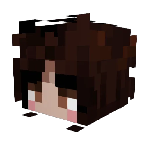 steysi Minecraft avatar head, 3D render