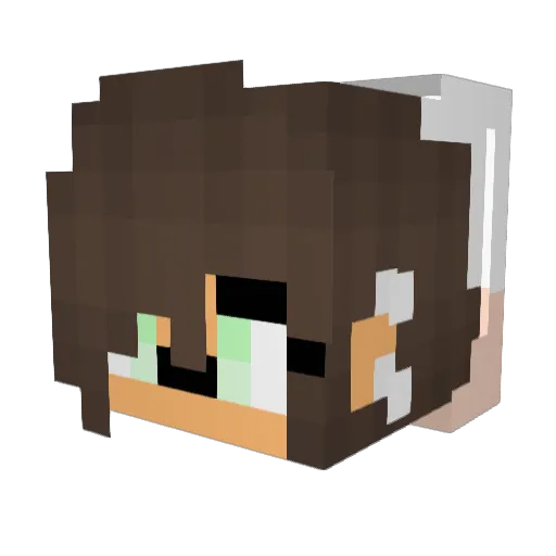 stiche2s Minecraft avatar head, 3D render