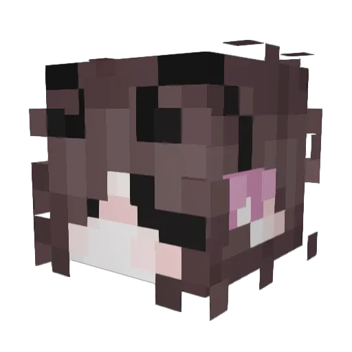 stickerpaws Minecraft avatar head, 3D render
