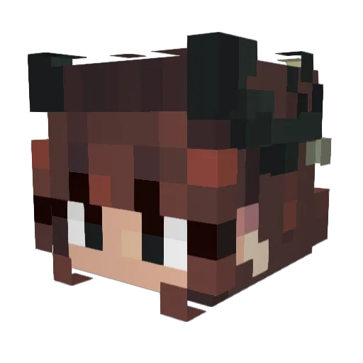 stickg Minecraft avatar head, 3D render