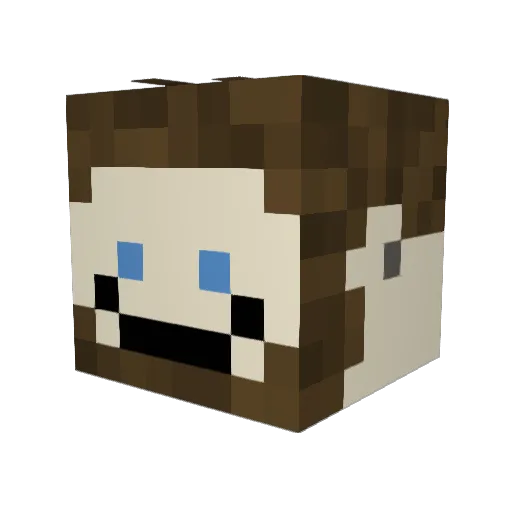 stickpicky Minecraft avatar head, 3D render