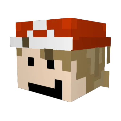 stickwilly Minecraft avatar head, 3D render