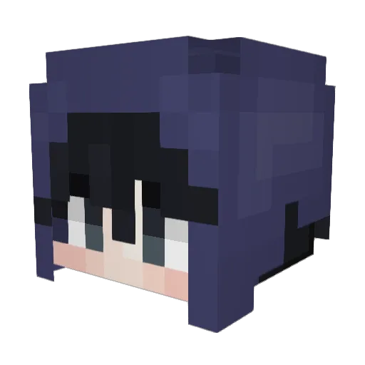 stickybub Minecraft avatar head, 3D render