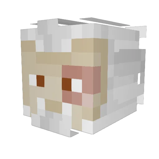 stickyrice3 Minecraft avatar head, 3D render