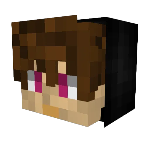 stif2008 Minecraft avatar head, 3D render