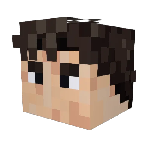 stig6 Minecraft avatar head, 3D render