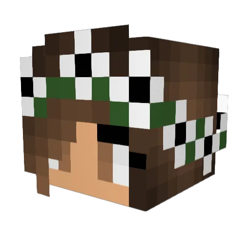 stiggle121 Minecraft avatar head, 3D render