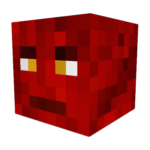 stigsen2004 Minecraft avatar head, 3D render