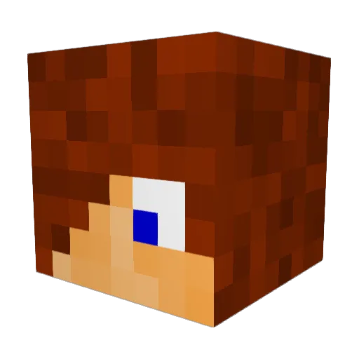 stijn12000 Minecraft avatar head, 3D render