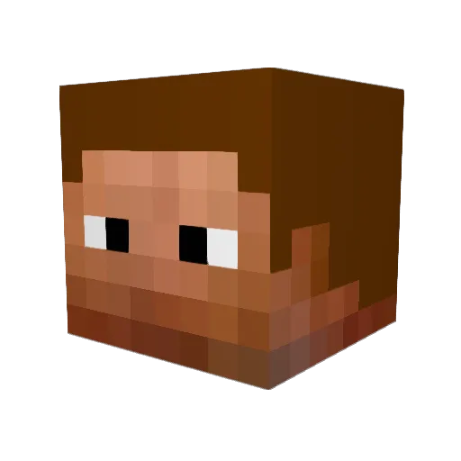 stijnator Minecraft avatar head, 3D render