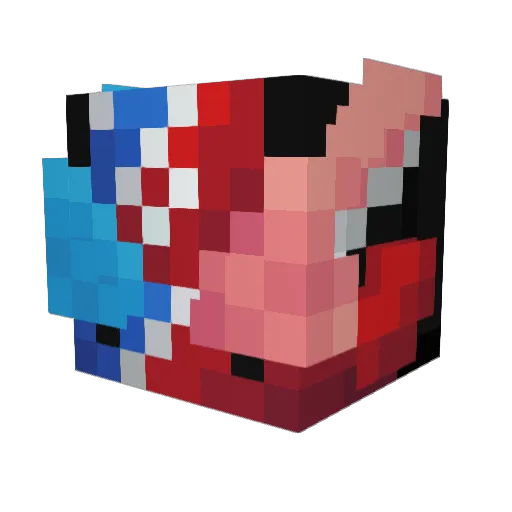 stijnsmp_net Minecraft avatar head, 3D render