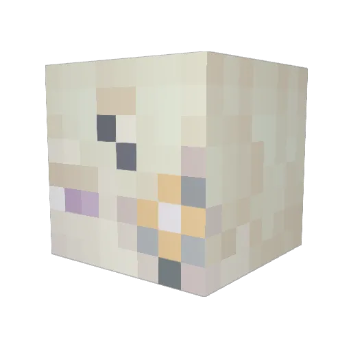 stikk_bugg Minecraft avatar head, 3D render