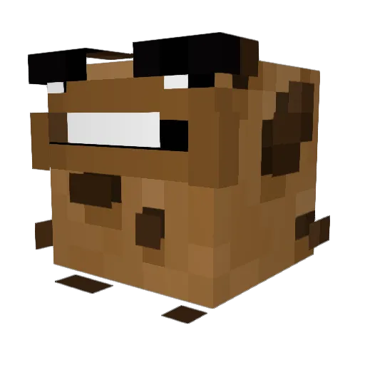 still2fast4u Minecraft avatar head, 3D render
