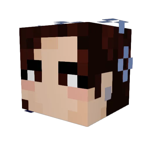 stilleria Minecraft avatar head, 3D render
