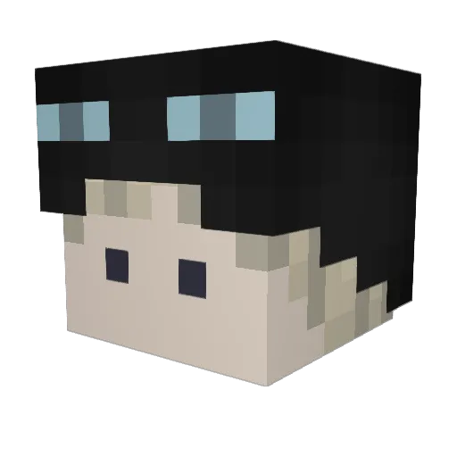 stillfeedin Minecraft avatar head, 3D render