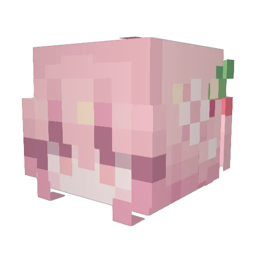 stillscapes Minecraft avatar head, 3D render