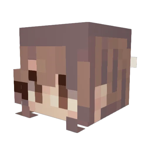 stinaroni Minecraft avatar head, 3D render