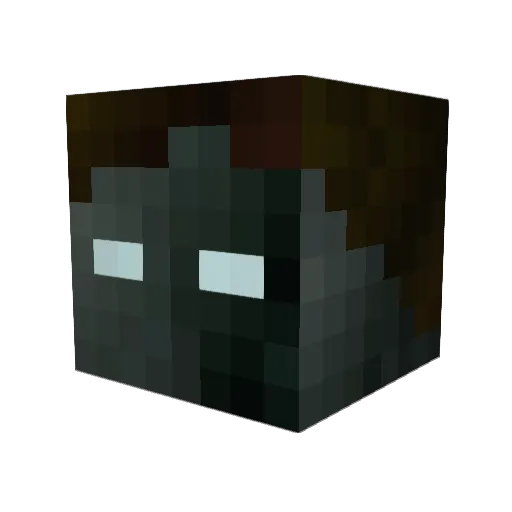 stingaling123321 Minecraft avatar head, 3D render