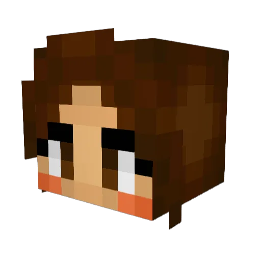 stingrachel Minecraft avatar head, 3D render