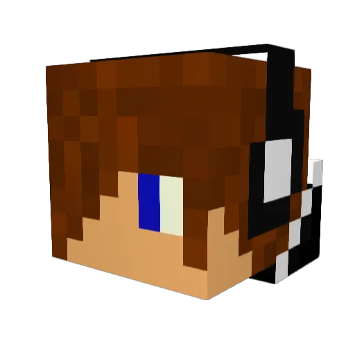 stingray1971 Minecraft avatar head, 3D render