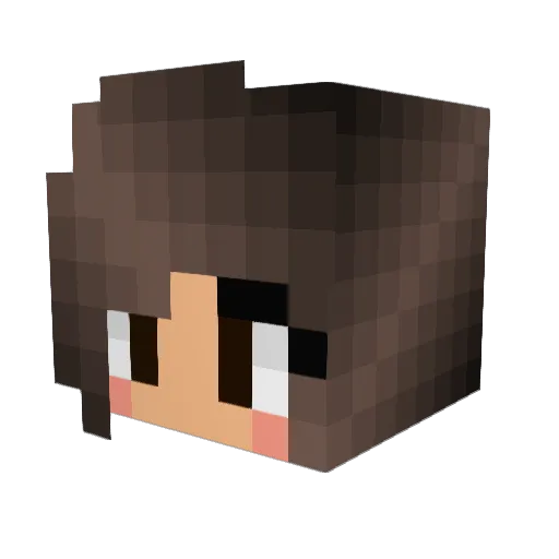 stingyheadshot99 Minecraft avatar head, 3D render