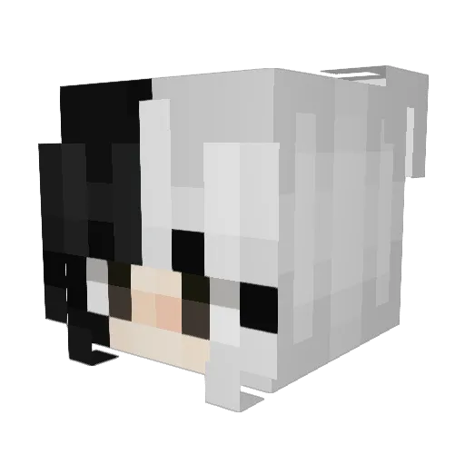 stingyloko Minecraft avatar head, 3D render