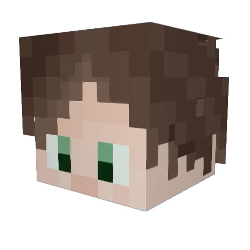 stink_13 Minecraft avatar head, 3D render