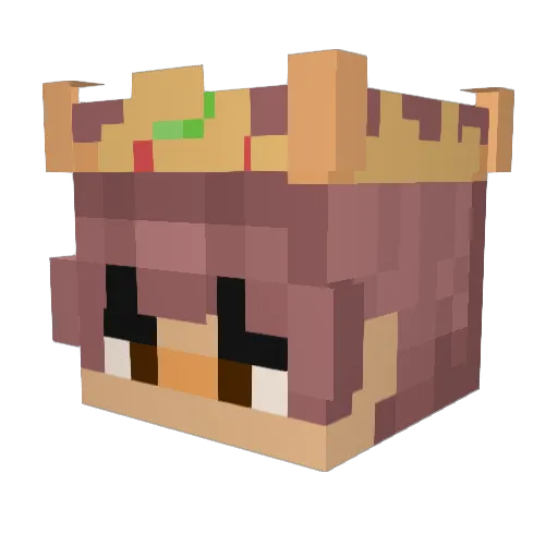 stink_buggy Minecraft avatar head, 3D render