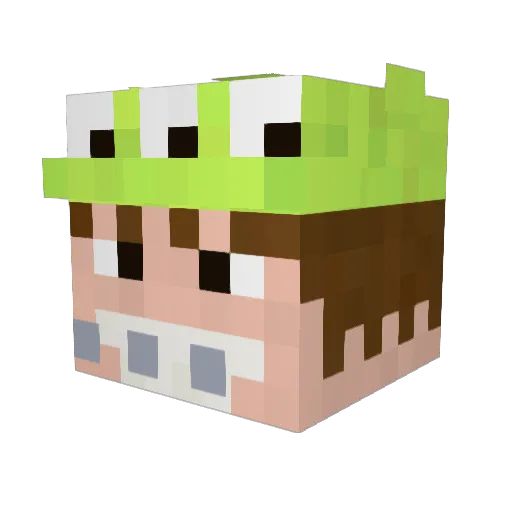 stinkabae Minecraft avatar head, 3D render