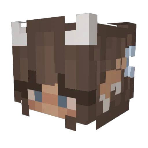 stinkalinka Minecraft avatar head, 3D render